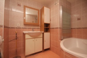 Prodej bytu 1+1, 60 m² Praha - Veleslavín, Pod novým lesem