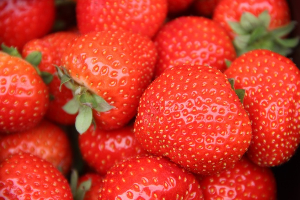 IMG_0782