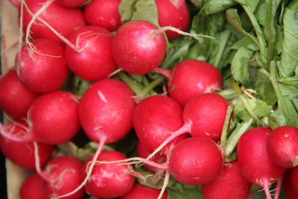 IMG_0812