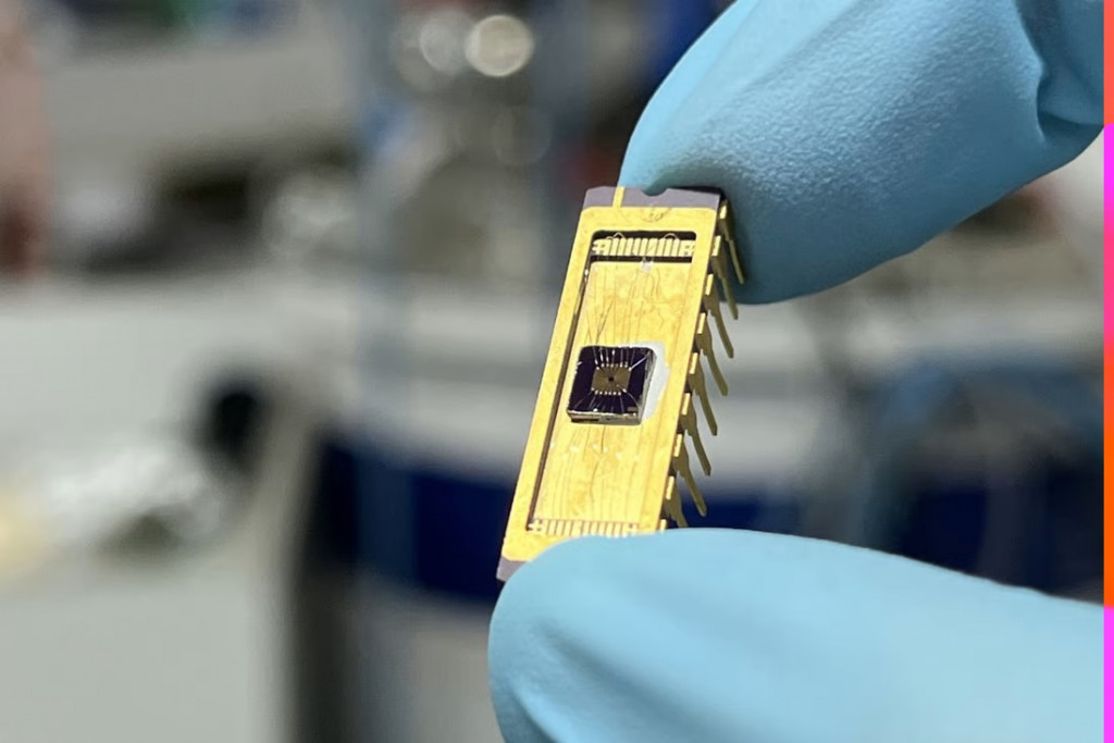 Kvantový simulátor umožnil týmu výzkumníků pozorovat elektrony v „kvantové poruše“. Foto: Univerzita v Nanjingu