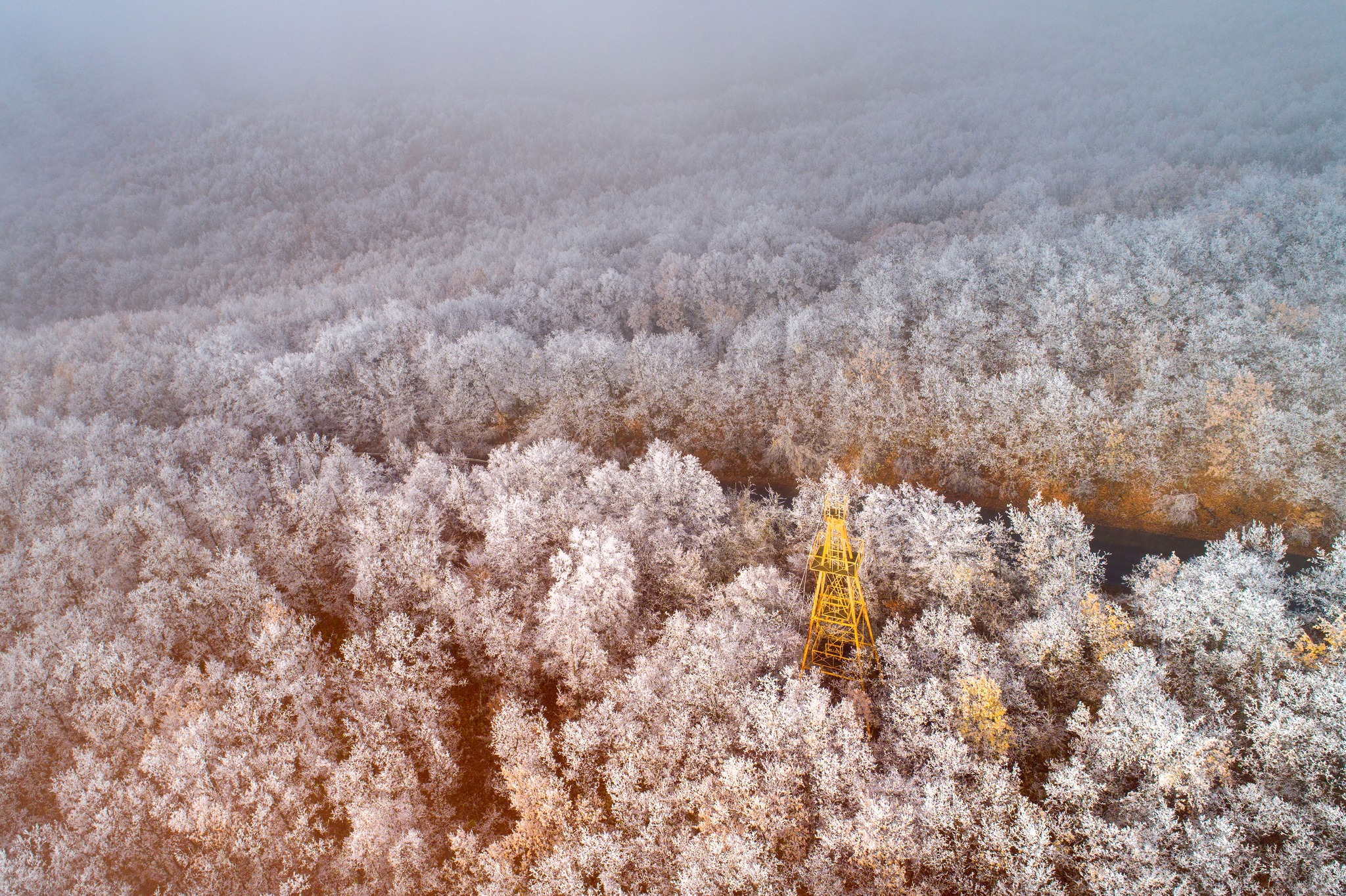 Výlet do Maďarska - klikaté lesní cesty