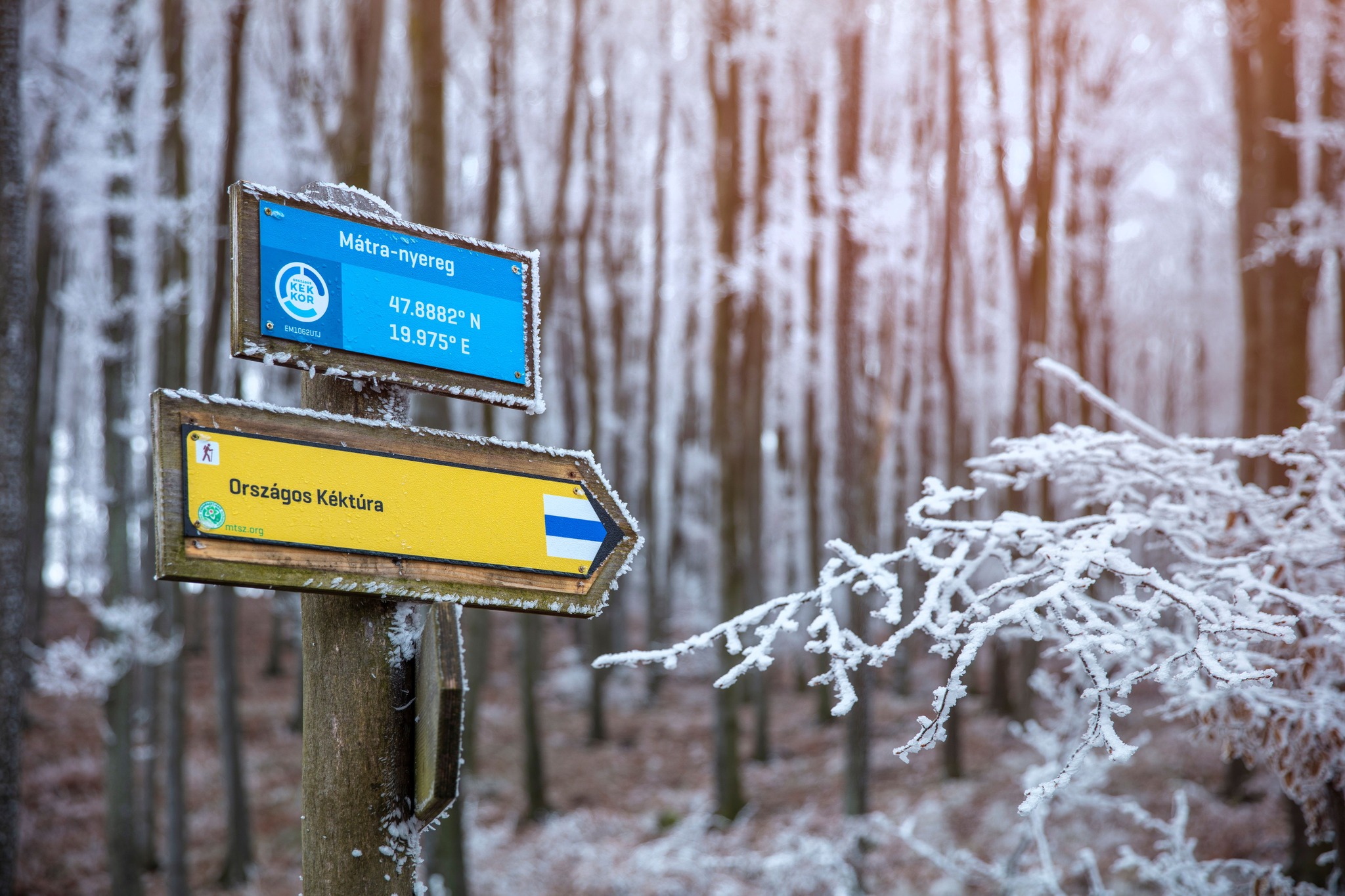 vyrazit v Maďarsku na túru