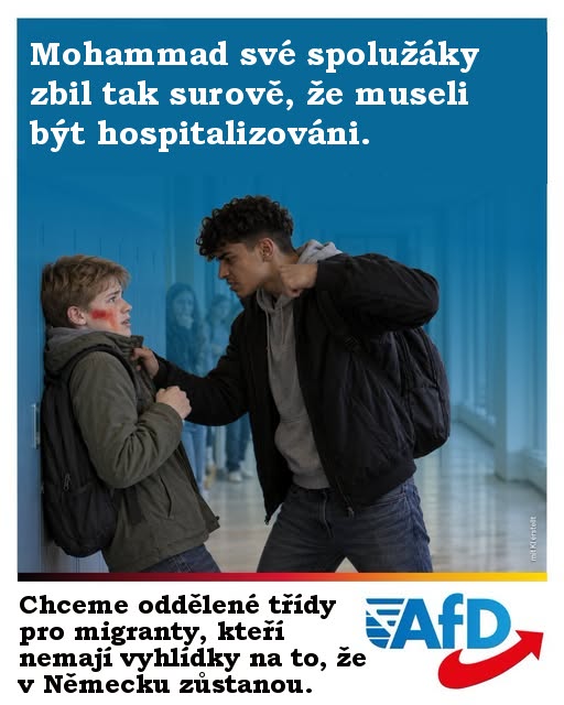 Třináctiletý chlapec se opět stal obětí brutálního násilí, kterého se dopustil migrant.